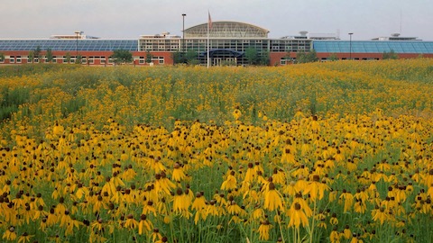Herman Miller Greenhouse located in Holland Michigan