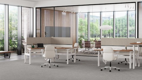 White Ratio height-adjustable workstations with grey and brown screens and white Asari Chairs with a conference room in the background.