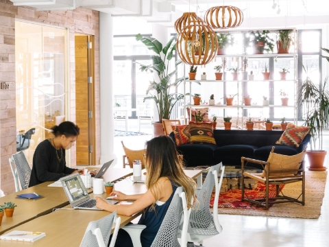 Two women work at their computers inside of a communal office space. 
