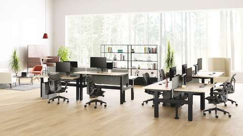 Open plan with Nevi Link Sit-Stand back-to-back desk configurations in black with light-coloured wood work surfaces, grey screens, Ollin Monitor Arms, Mirra 2 Chairs, and lounge furniture in the background.